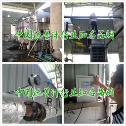 福建食品廠蒸汽流量計發展現狀 聚焦技術創新與真工廠實踐